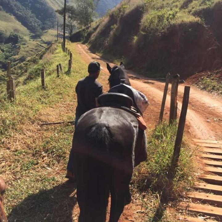 Refugio Horse Vila Santo Antônio do Pinhal Exterior foto